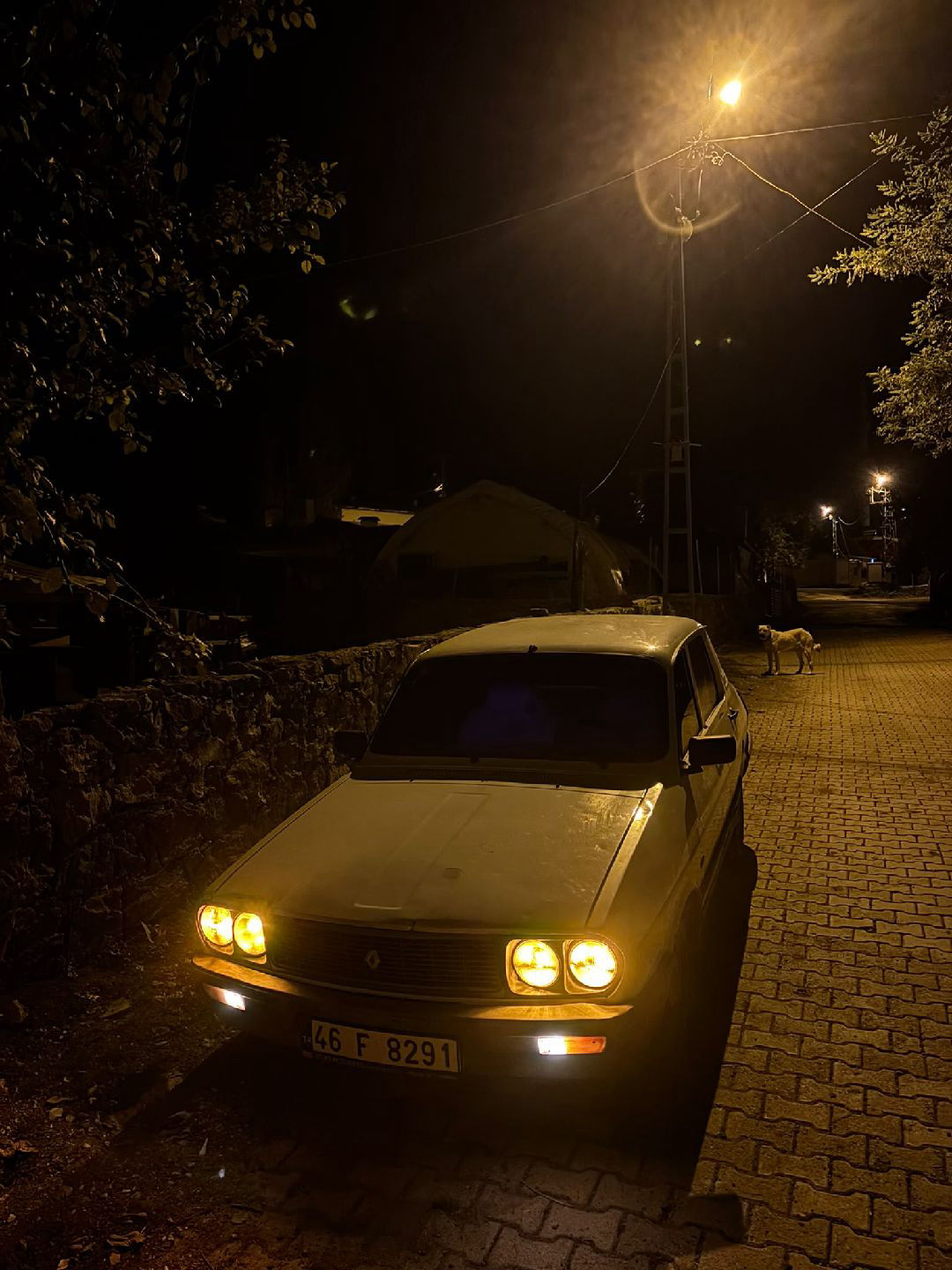 Renault · sene sanki 1997